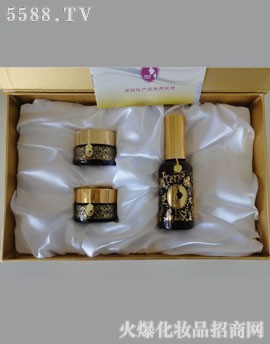 ���u�I(l��ng)��(chu��ng)����Ƽ����޹�˾������ȸ����