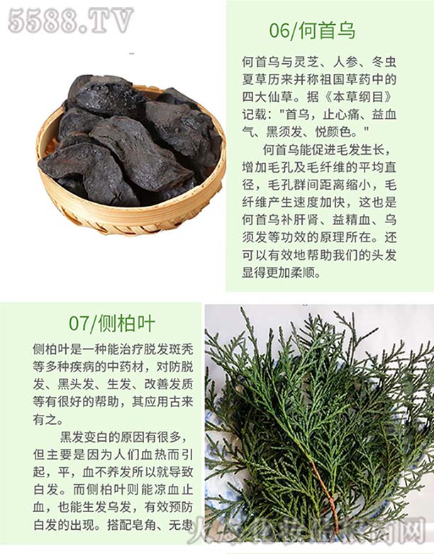 Ȫ���ֿ��t(y��)ˎ���޹�˾���l(f��)ѾѾ�ݱ�ֲ�����ϴ�l(f��)�飨���מ����Ȱ��~��