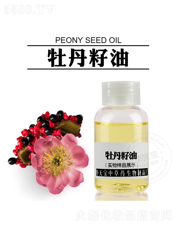 �������A�쌚�в�ˎ������Ʒ�S(ch��ng)���A�쌚ĵ������