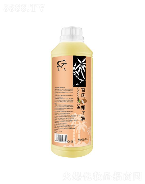 �V�݂�������Ƽ����޹�˾���m��Ҭ���� 1L
