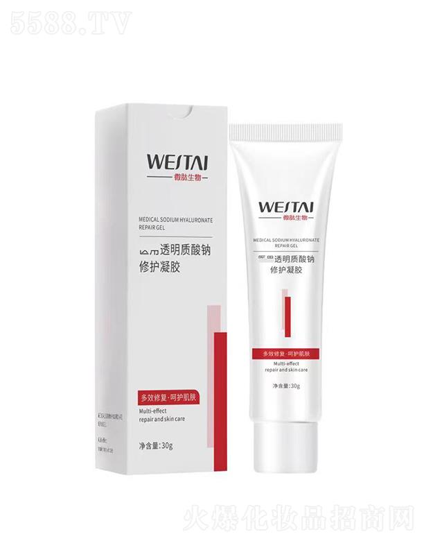 �V��΢������Ƽ����޹�˾��΢���t(y��)��͸���|(zh��)���c���o���z