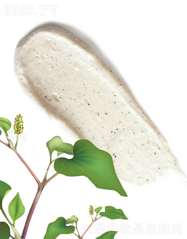 ����˹���Ϻ������yƷ���޹�˾��ANCORS�~�Ȳ�ë����ӝ�����