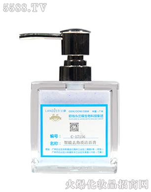 C-17156����ȥ���|(zh��)�����