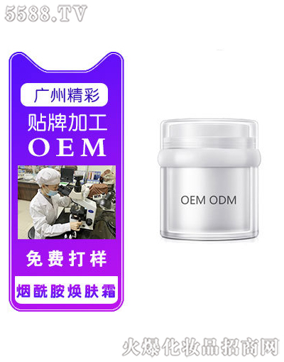 ���������w˪