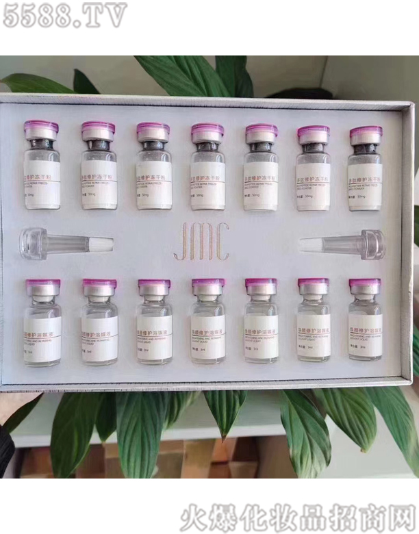 ����������ޏ�(f��)���ɷ�