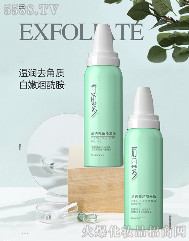 ��������͸ȥ���|(zh��)Ľ˹