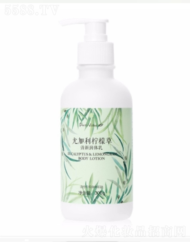 �ȼ������ʲ������w�� 300g