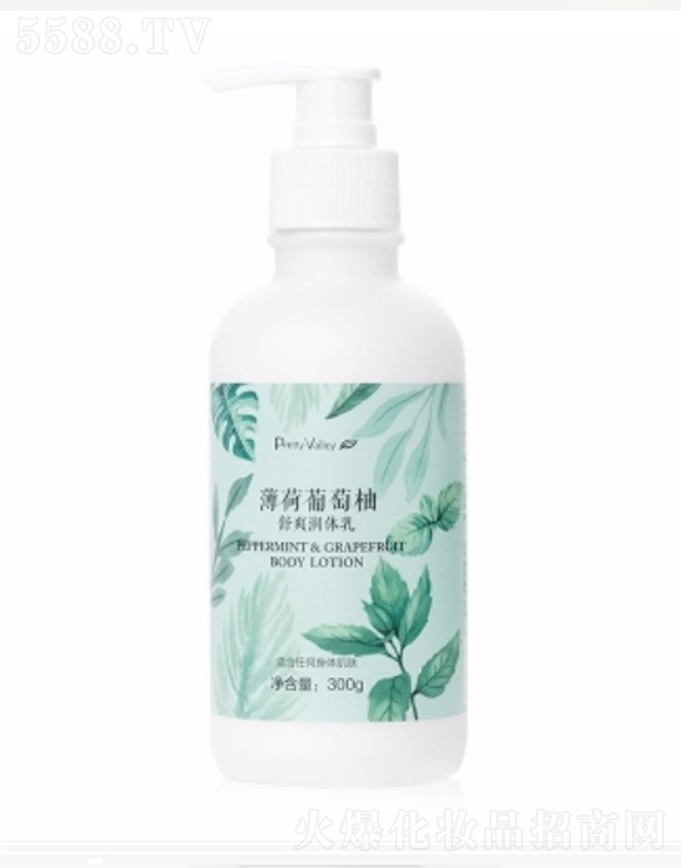 ������������ˬ��(r��n)�w�� 300g