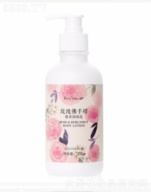 õ����ָ�ܰ�㝙(r��n)�w�� 300g