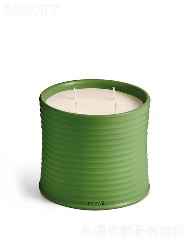 LOEWE��̖���㶹�㾫Ϟ�T 100����