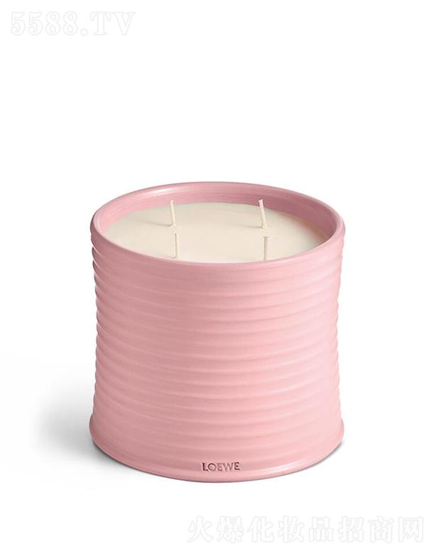 LOEWE��̖�������㾫Ϟ�T 100����
