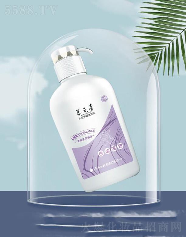 ���ϰ�ˎ�B(y��ng)Ԫ��ϴ�l(f��)ˮ ���͏�(qi��ng)�g�L�l(f��)  ��ͥ�bŮʿ����500ml