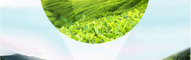 �����_���ɾ���