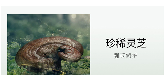 ��?ji��)��`֥�ɲ�ϵ���o�w�׽M