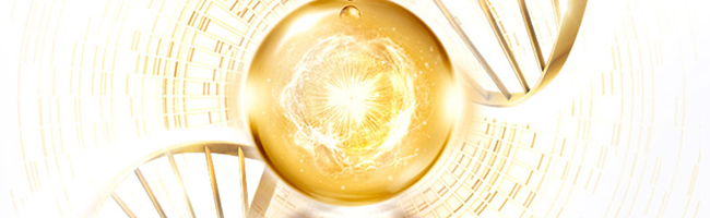 Ԋ������VC�n���Ĥ