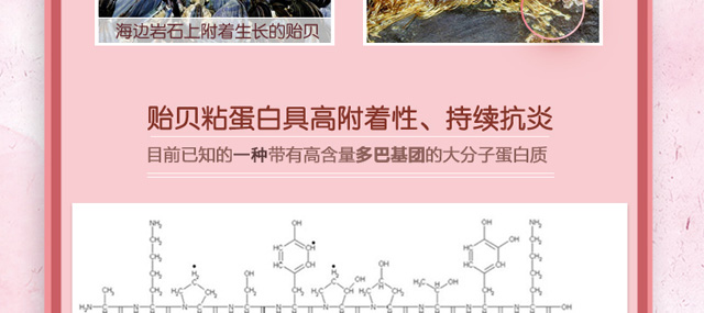 �Oؐճ�����ޏ�(f��)���Foem