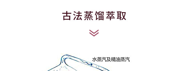 �؊}�ز�伃¶