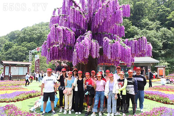 ���h�F�@�Ͼ�ɽ���y�������֮��