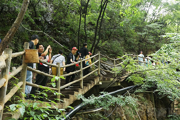 �g���͌W����Ҳ������������