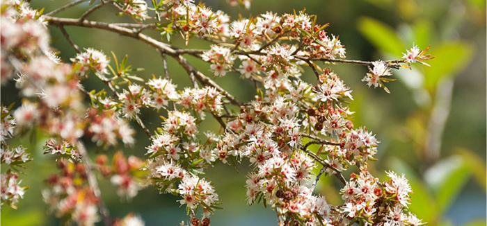 ؐ��ޱԊ(sh��)�������R���������F