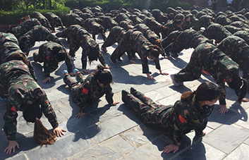 ������󣬃�(n��i)��(qi��ng)���|(zh��)������(y��u)�������